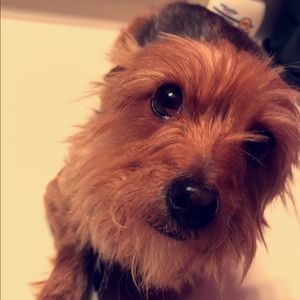 Meet your Posher, Hayde